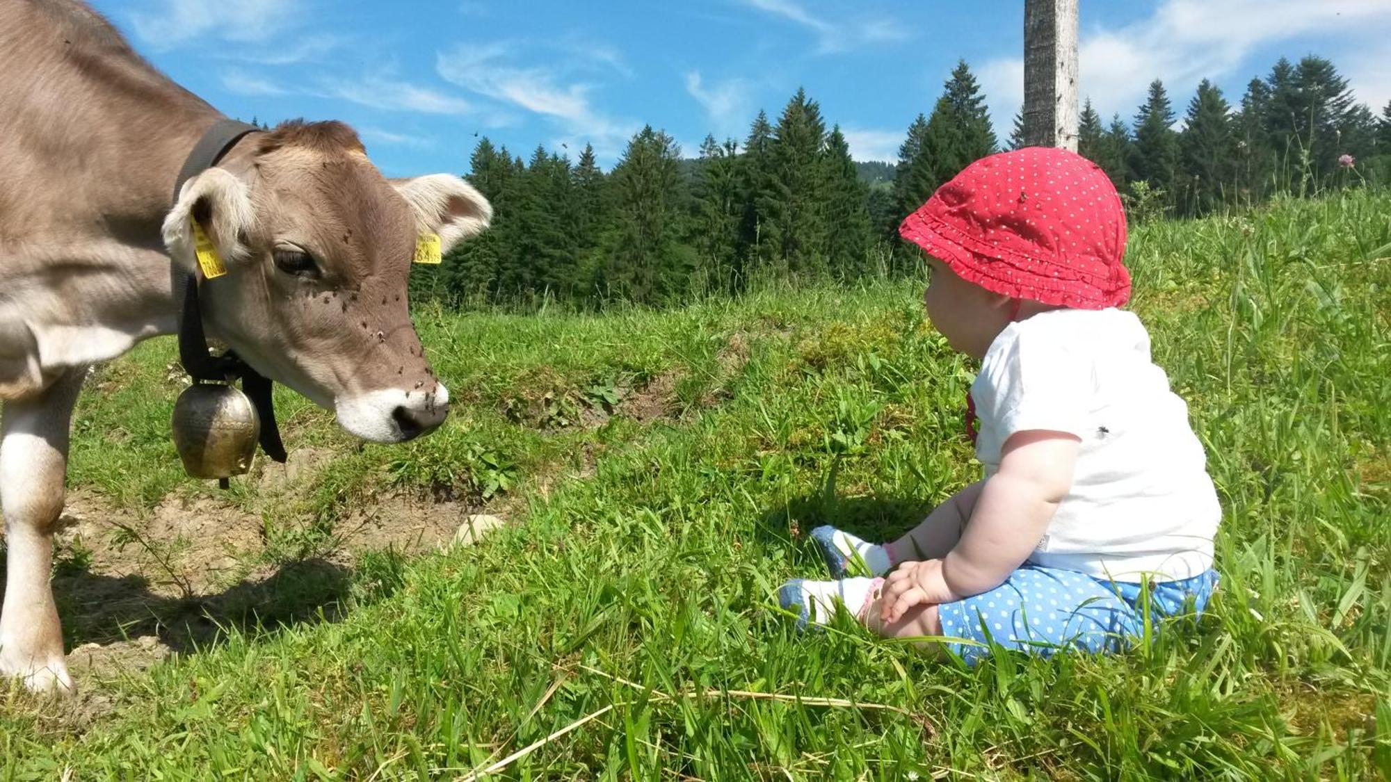 Ferienhof Duerlinde Hittisau Eksteriør bilde