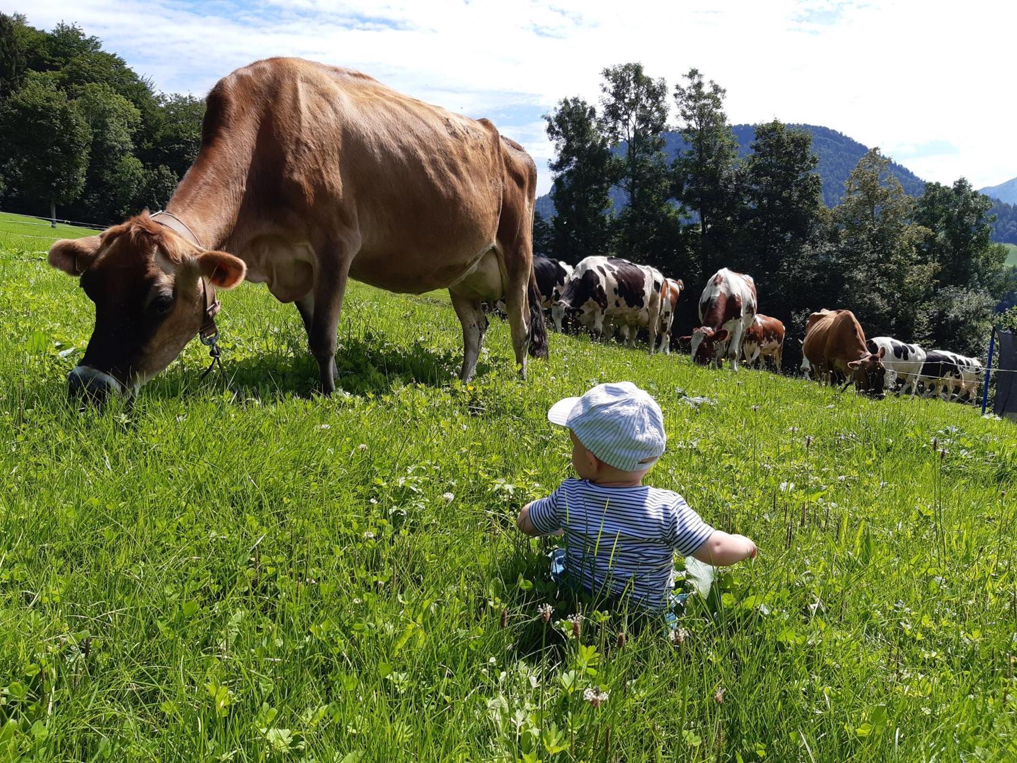 Ferienhof Duerlinde Hittisau Eksteriør bilde